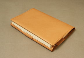 bookcoverBAbe4
