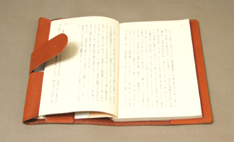 bookcoverBAbr3