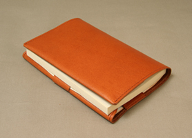 bookcoverBAbr4