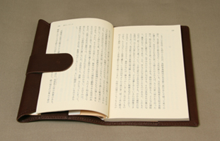 bookcoverBAcho3