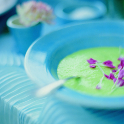 soup_tur2